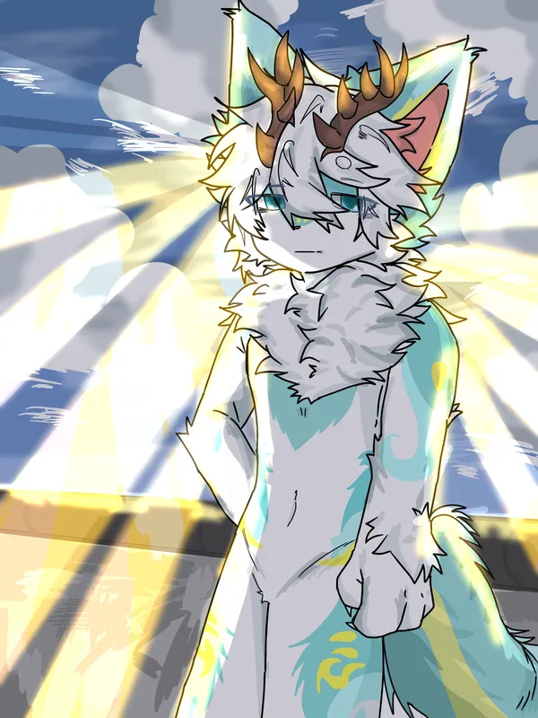 佛光普照的鹿鹿hhh